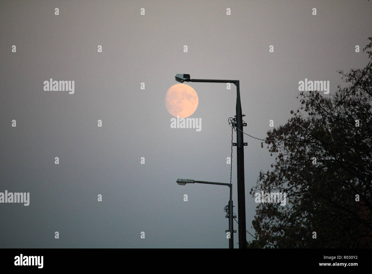 Vollmond Vollmond disc unter der Straßenlaterne, die Kombination von Perspektive, Mond, als ob leuchtendes anstelle der Straße Licht Stockfoto