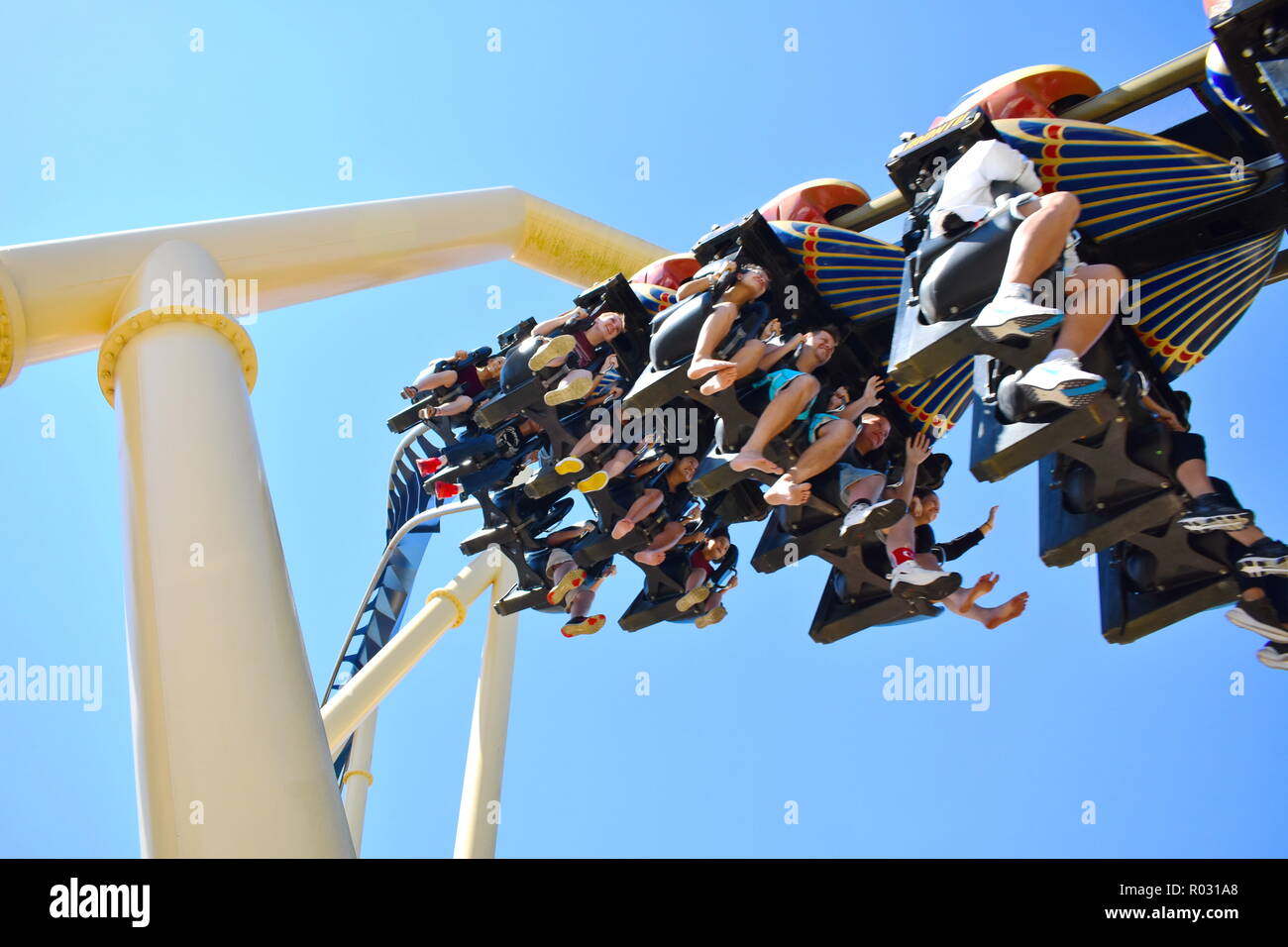 Tampa, Florida. Oktober 25, 2018. Erstaunlich Empfindung in Montu Achterbahn in Busch Gardens Tampa Bay Theme Park. Stockfoto