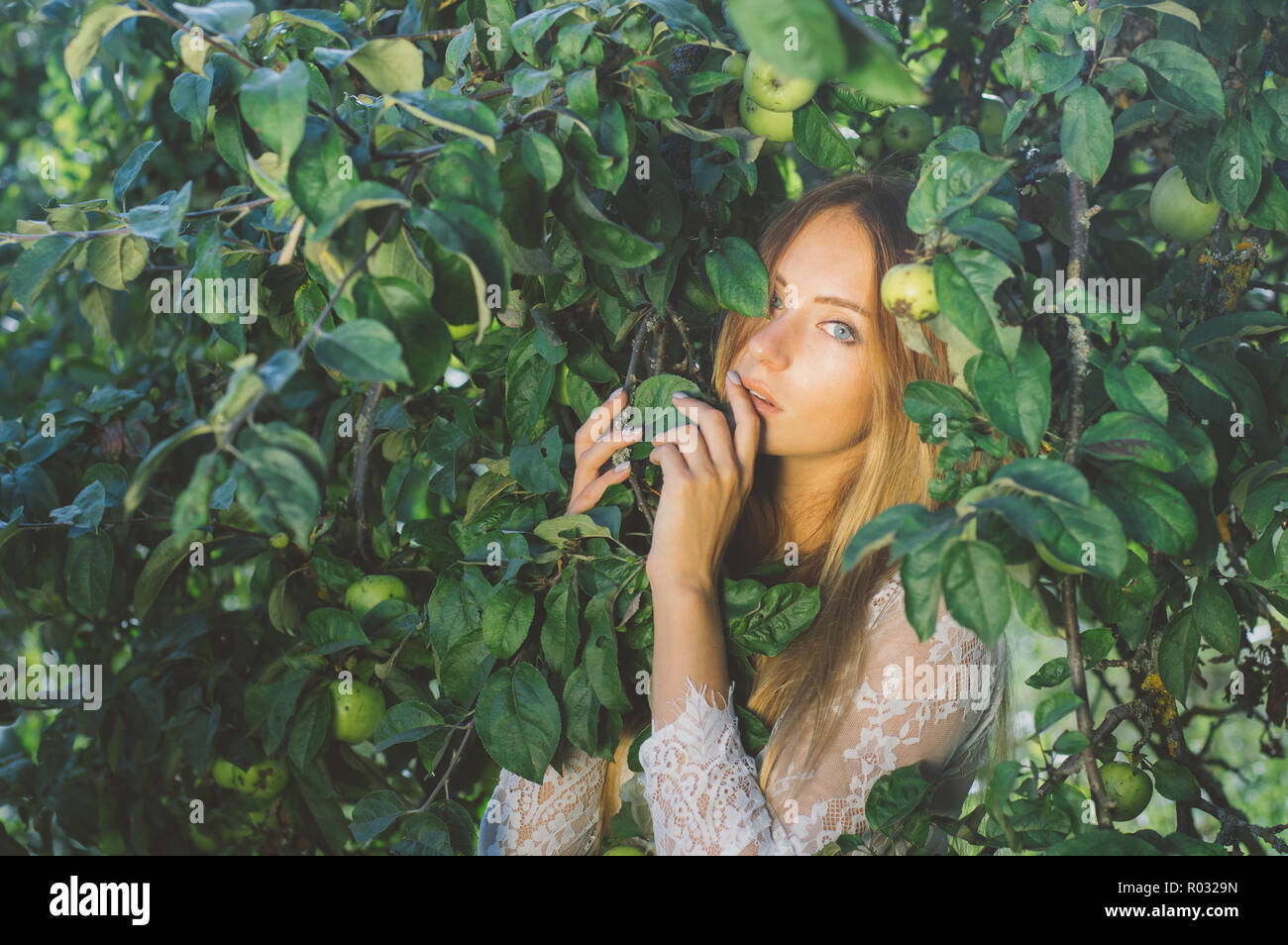 Portrait der junge schöne Mädchen in weißen Spitzenkleid in Apple, Garten, in der Baumkrone, Finger in die Nähe von Mund Stockfoto