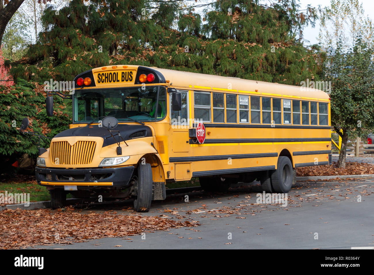 Vorderansicht eines Noth American School Bus Stockfoto