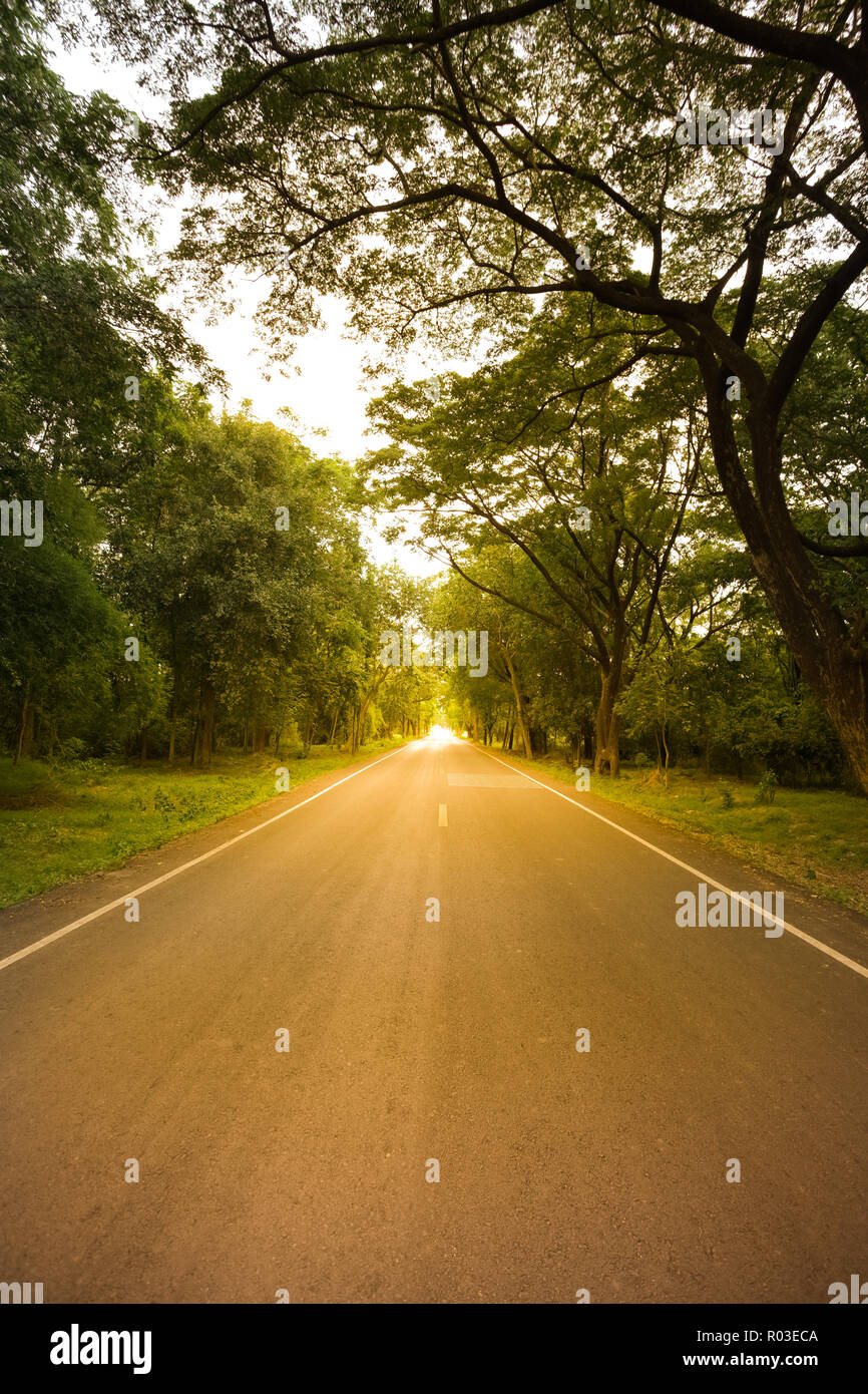 Neue asphalt Autobahn in der Natur in die Landschaft bei Sonnenuntergang warmen Ton. Stockfoto