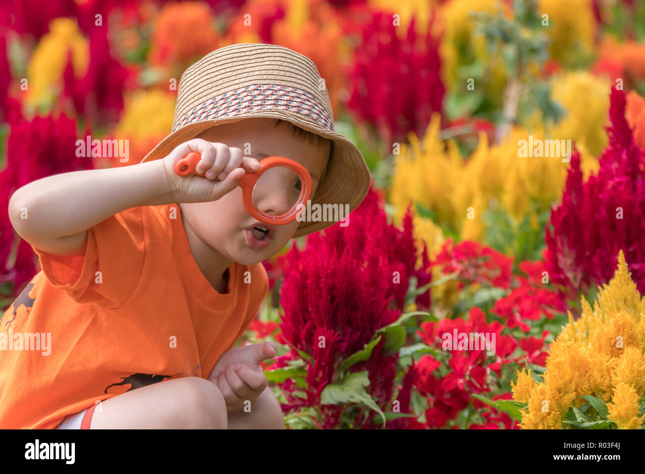 Foto von niedlichen kleinen glücklich Kaukasischen Jungen mit einem Strohhut holding Lupe auf der Suche nach kleinen Insekten unter den blühenden Blumen Stockfoto