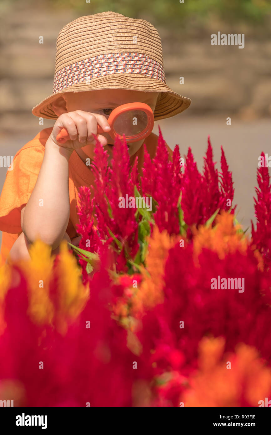 Foto von niedlichen kleinen glücklich Kaukasischen Jungen mit einem Strohhut holding Lupe auf der Suche nach kleinen Insekten unter den blühenden Blumen Stockfoto