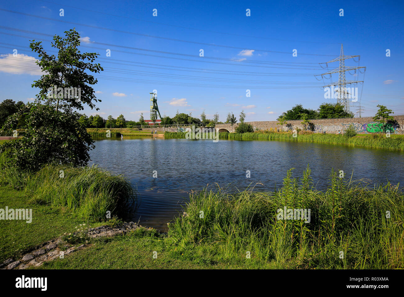 Essen, Ruhrgebiet, Deutschland, Krupp-Park, See, Stadtentwicklung Projekt Krupp-Guertel Stockfoto