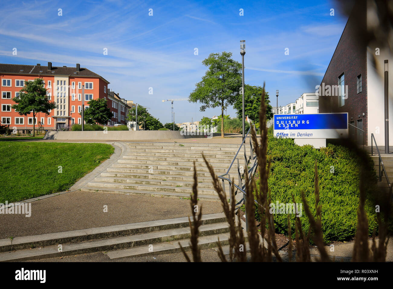 Essen, Ruhrgebiet, Deutschland, städtische Entwicklung Projekt Gruene Mitte Essen Stockfoto