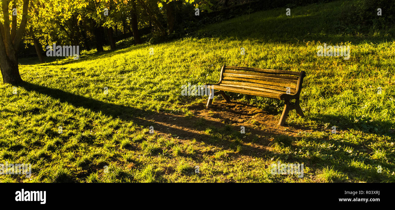 Alte Holzbank in einem Park am späten Nachmittag Stockfoto