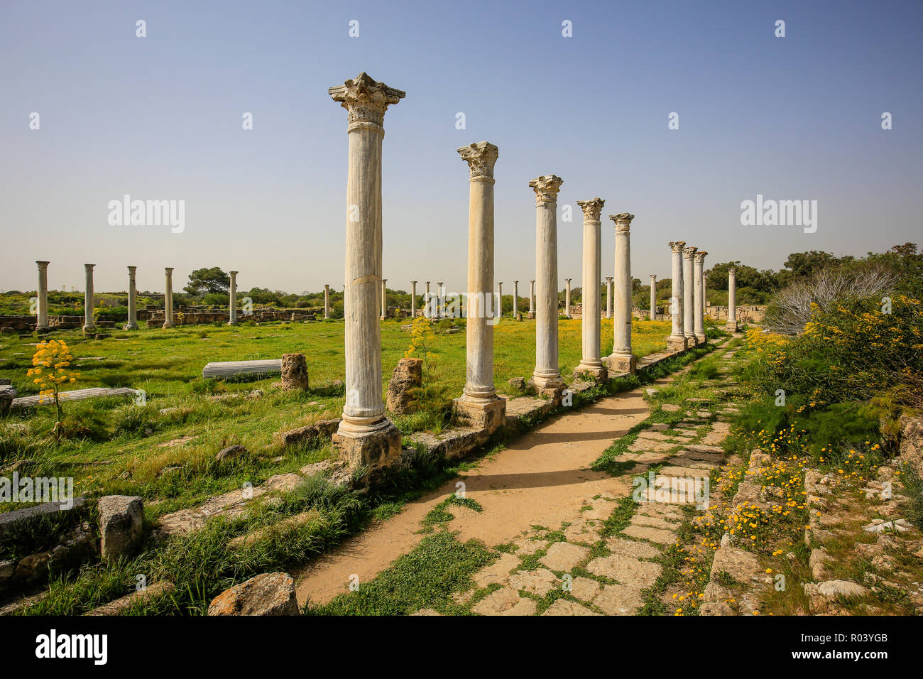 Famagusta, Türkische Republik Nordzypern, Zypern - Salami, archäologische Ausgrabungsstätte Stockfoto