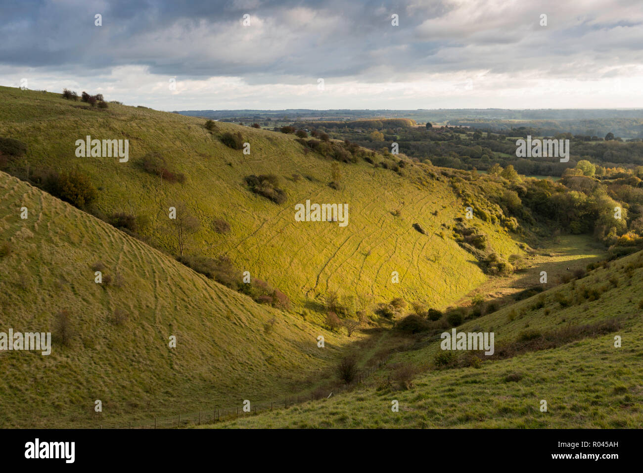 Am späten Nachmittag Licht im Oktober auf des Teufels Backtrog, ein urstromtal in der Kent Downs AONB in der Nähe von Wye, UK. Stockfoto