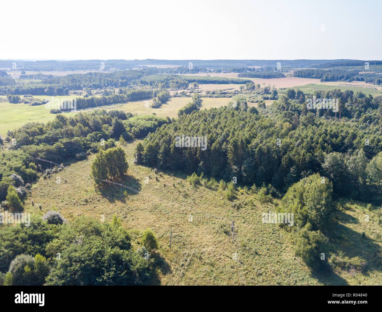 Wald von oben gesehen. Drone Landschaft mit europäischen Wald. Stockfoto