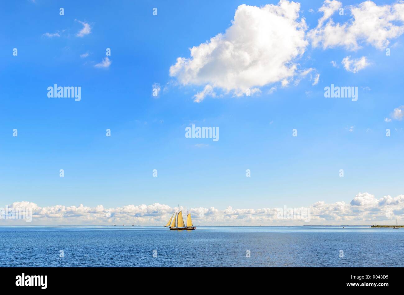 Schiff mit Segel im Meer am Horizont. Stockfoto