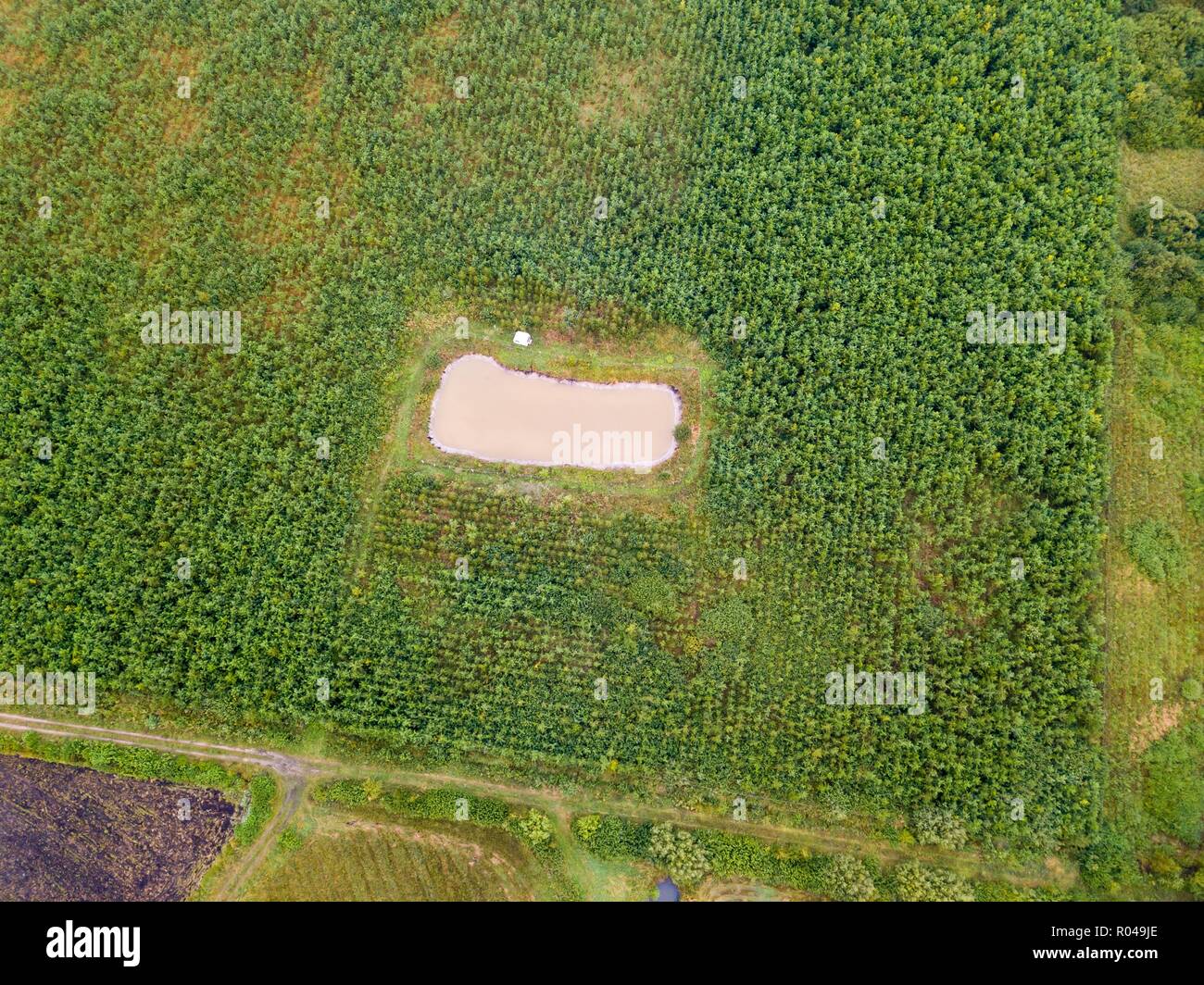Kleinen Teich und Camping auf Felder. Von oben nach unten drone Landschaft. Stockfoto