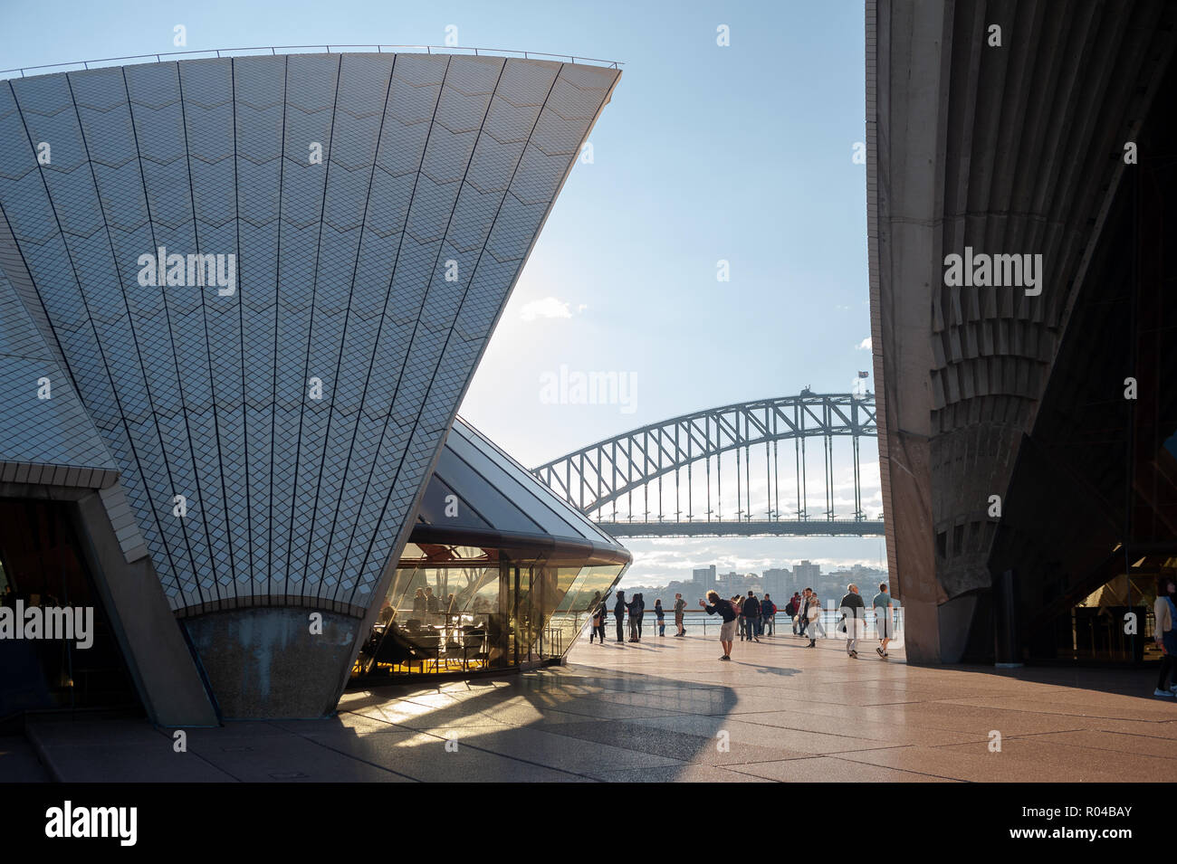 Sydney, Australien, Sydney Opera House und die Harbour Bridge Stockfoto