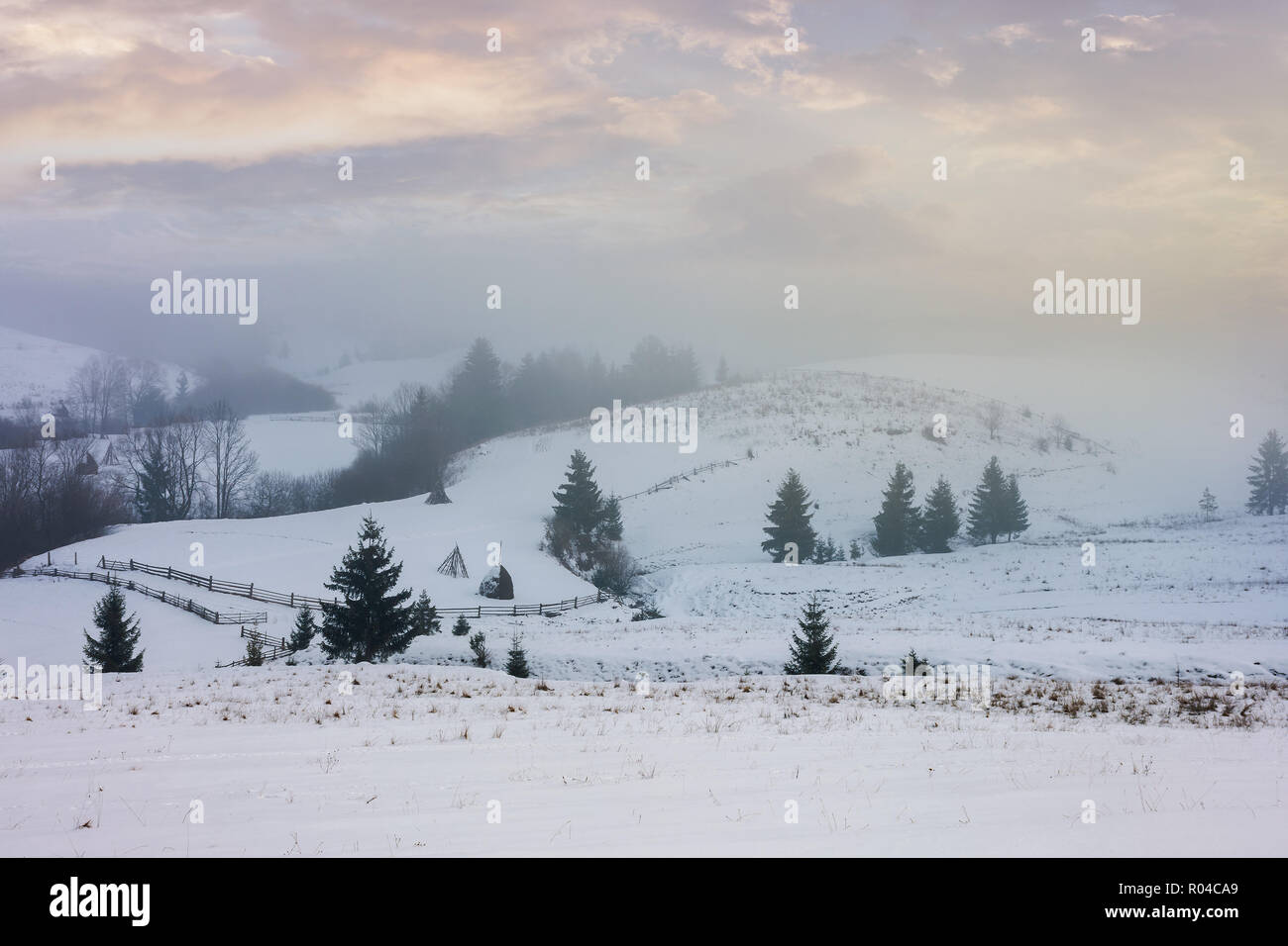 Winter Landschaft an einem nebligen Morgen. geheimnisvolle Landschaft mit Bäumen auf verschneiten Pisten unter einem schönen bewölkter Himmel Stockfoto