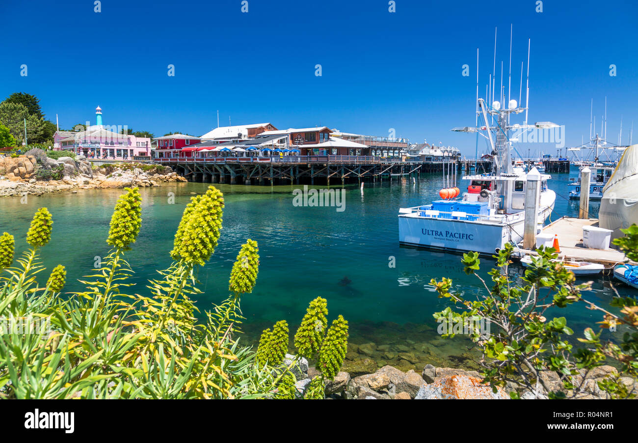 Fisherman's Wharf, Monterey Bay, Halbinsel, Monterey, Pazifischer Ozean, Kalifornien, Vereinigte Staaten von Amerika, Nordamerika Stockfoto