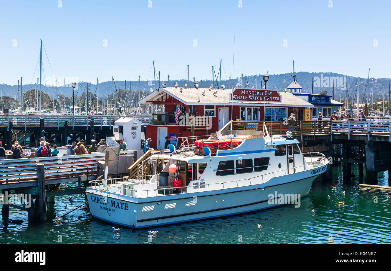 Fisherman's Wharf, Monterey Bay, Halbinsel, Monterey, Pazifischer Ozean, Kalifornien, Vereinigte Staaten von Amerika, Nordamerika Stockfoto