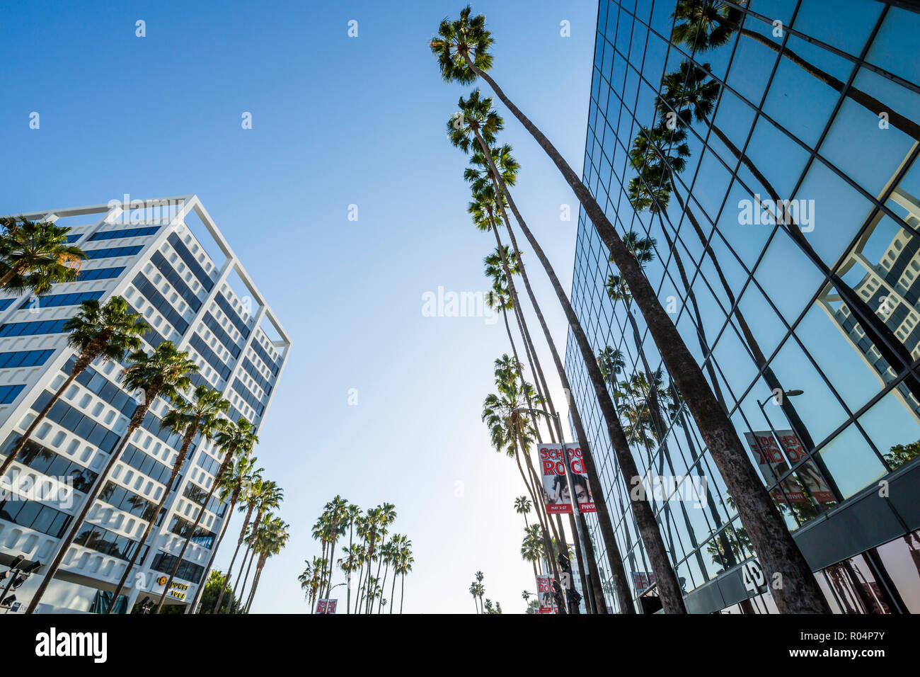Blick auf Palmen und zeitgenössische Architektur auf dem Hollywood Boulevard, Los Angeles, Kalifornien, Vereinigte Staaten von Amerika, Nordamerika Stockfoto