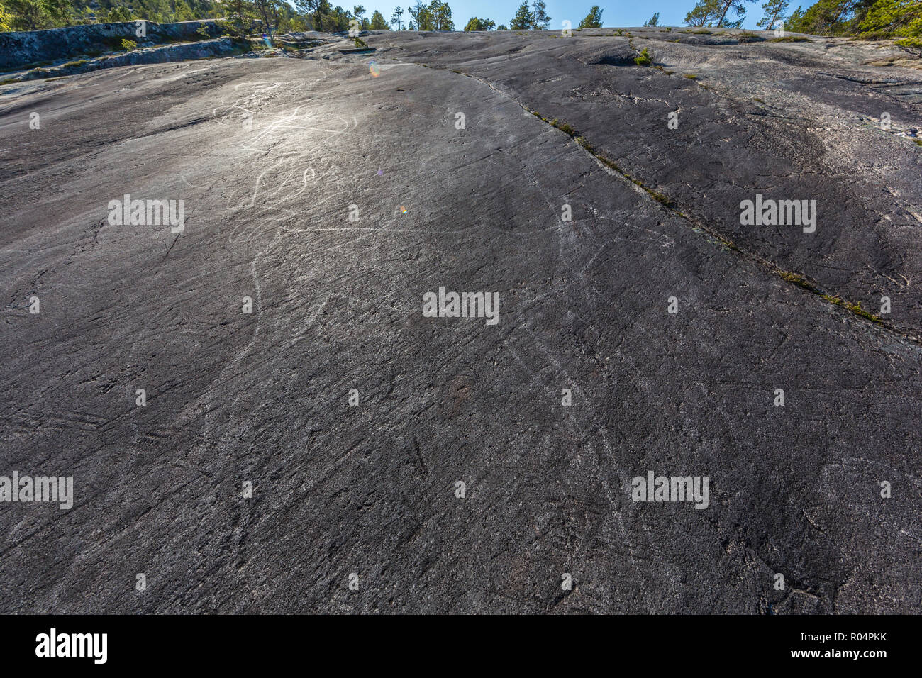 Tiere, die in der 9000 Jahre alten geschliffen und poliert Stein Alter rock Kunst an Leiknes, Norwegen, Skandinavien, Europa Stockfoto