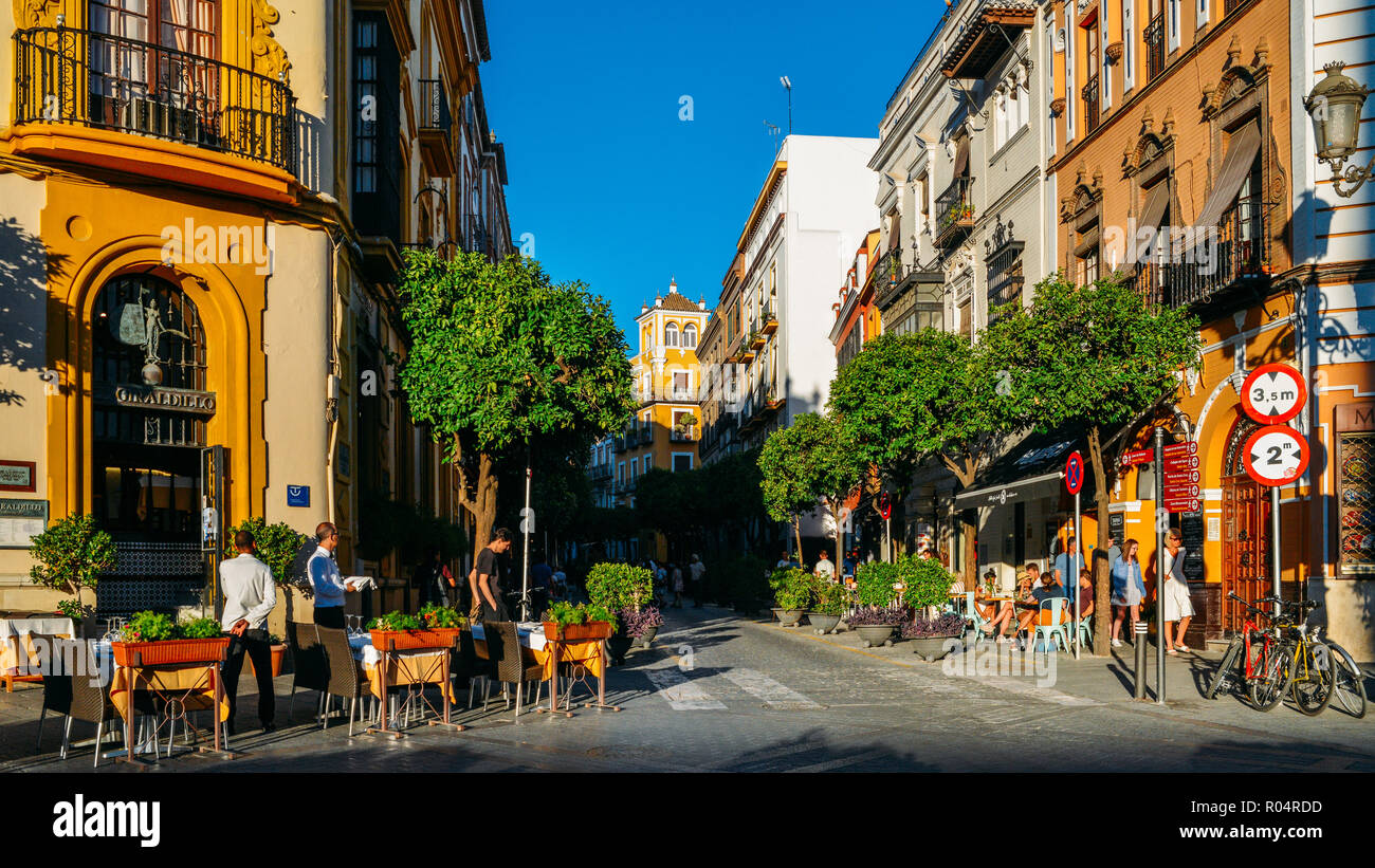 Calle Mateos Gago, einer belebten Straße mit Bars und Restaurants in der Altstadt von Sevilla, Andalusien, Spanien, Europa Stockfoto