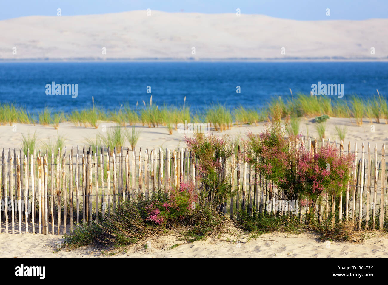 Bassin D Arcachon Und Dune Du Pyla Ansicht Von Cap Ferret Punkt Bordeaux Gironde Frankreich Stockfotografie Alamy