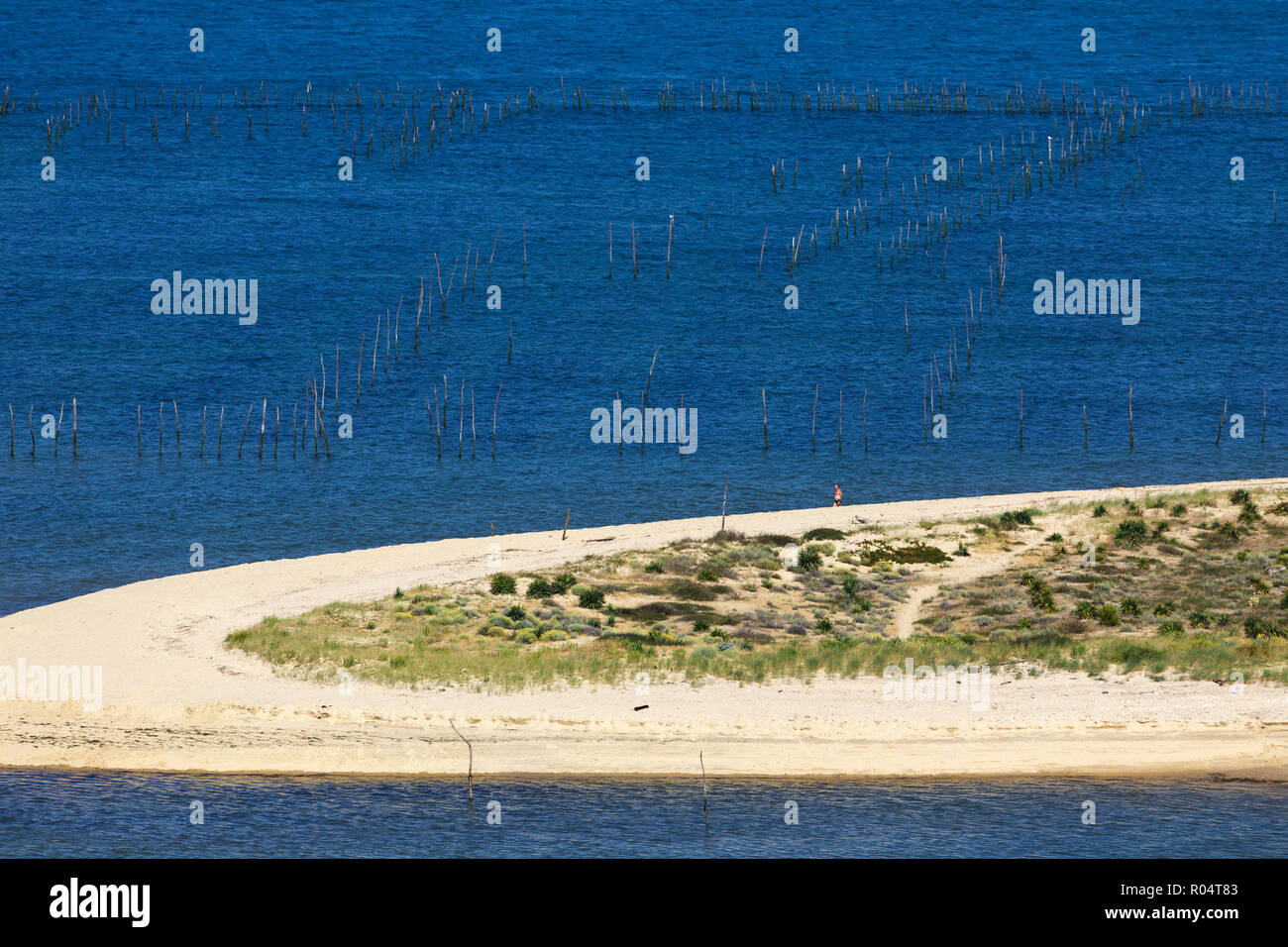 Bassin d'Arcachon Landschaft bei Ebbe, Ansicht von Cap-Ferret Leuchtturm auf der Dune du Pyla, Frankreich Stockfoto