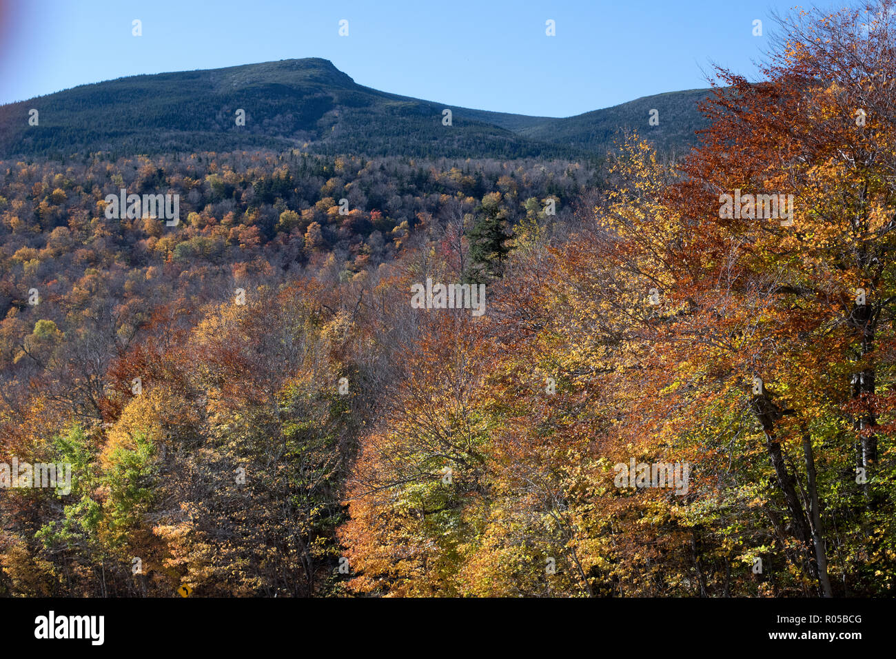 Weiße Berge im Herbst Stockfoto