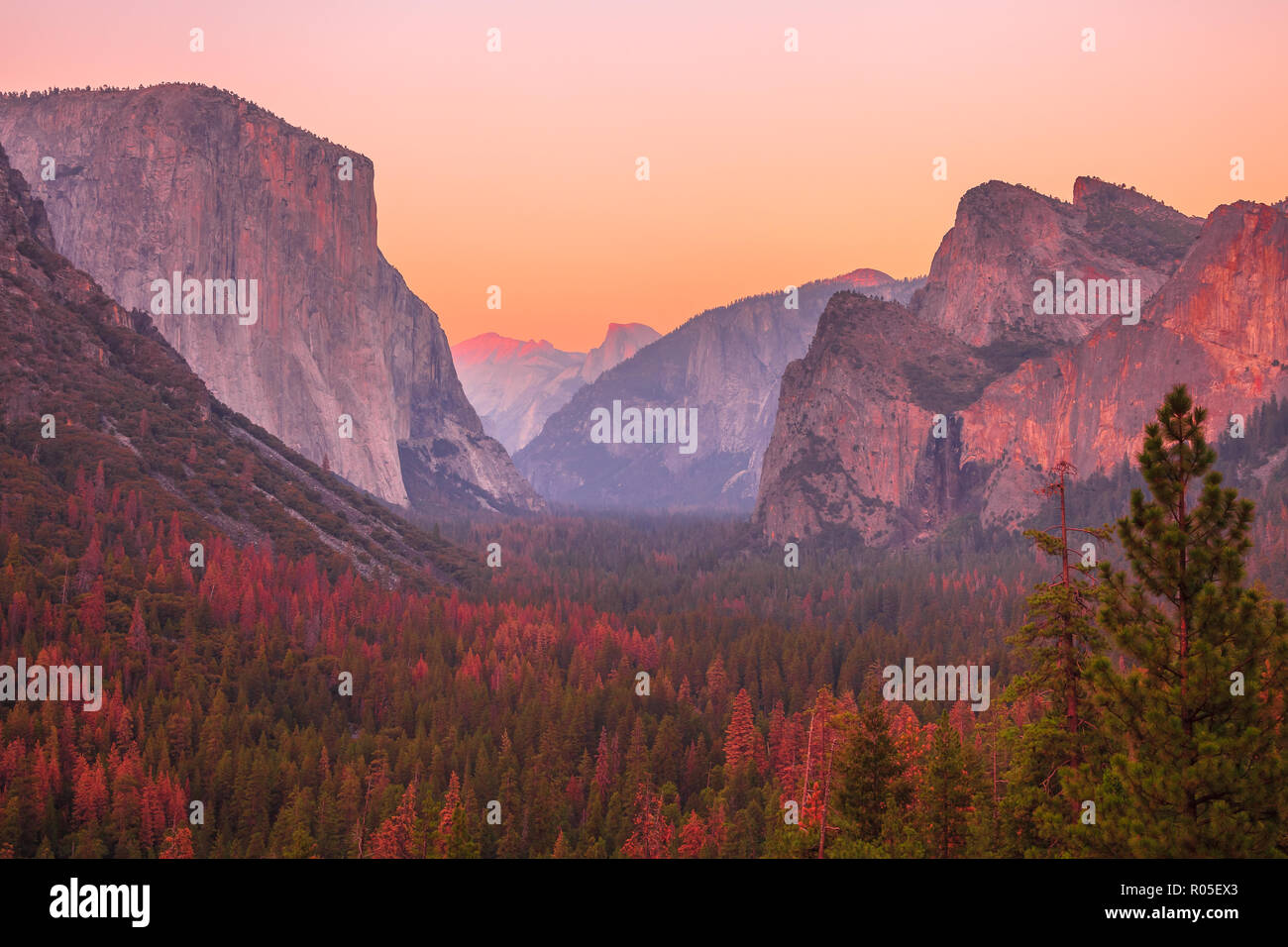Tunnel Blick Blick auf golden hour in Yosemite National Park. El Capitan und Half Dome am roten Sonnenuntergang. Sommer amerikanische Feiertage. California, United States. Stockfoto