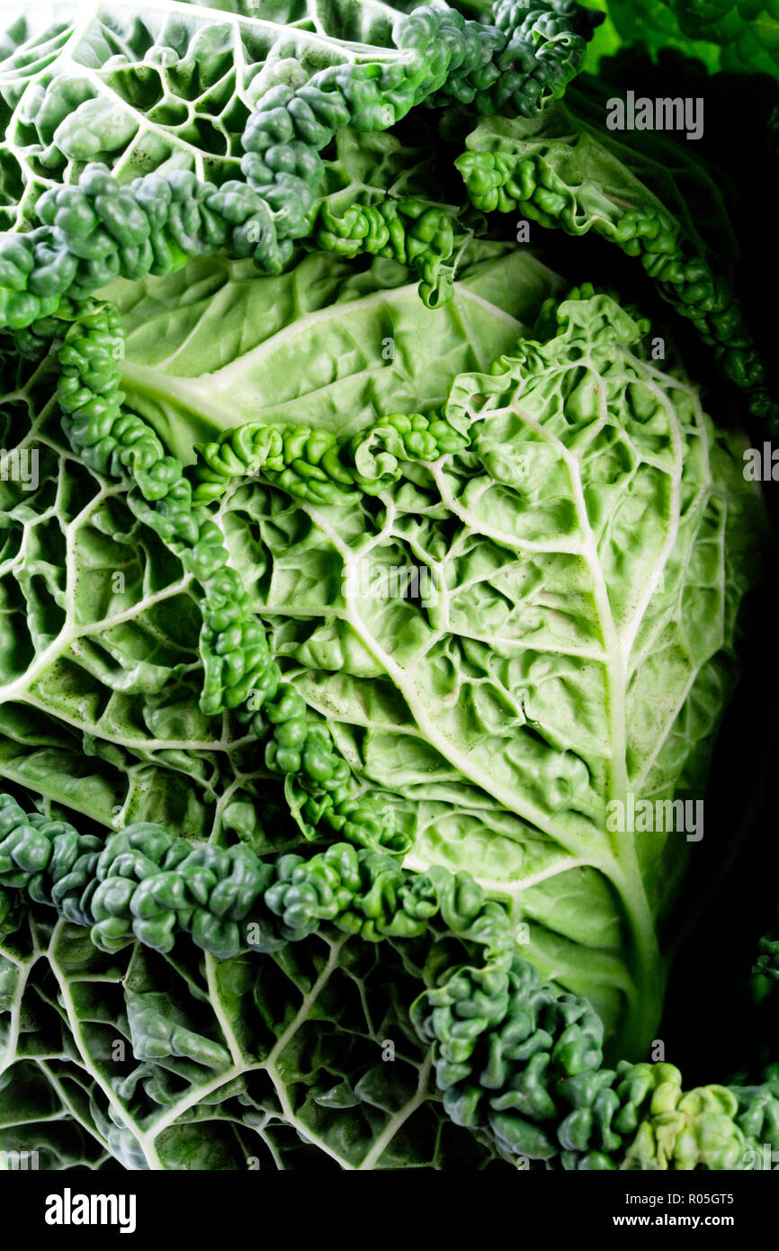 Frische Wirsing closeup - Makro Bild Stockfoto