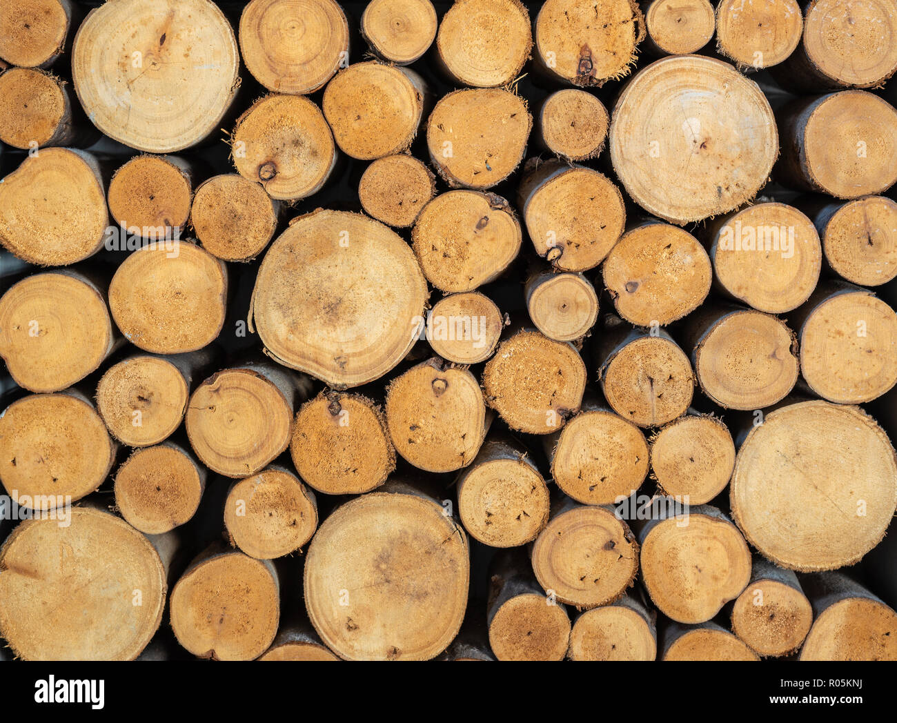 Stapel von gesägtem Holz anmelden. Natürliche Holz Textur Hintergrund Stockfoto