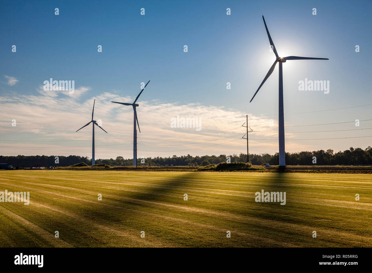 Hintergrundbeleuchtung Windenergieanlagen mit Schatten auf ein grünes Feld. Stockfoto
