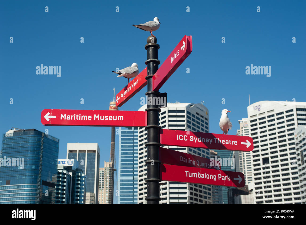 Sydney, Australien, des Geschäftsviertels Stockfoto