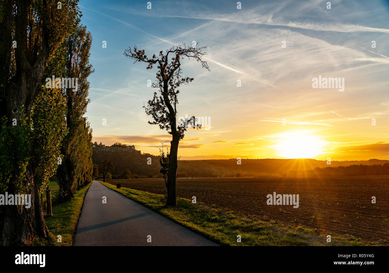 Pappeln (Populus), Straße, Sonnenuntergang, Sächsische Schweiz, Deutschland Stockfoto