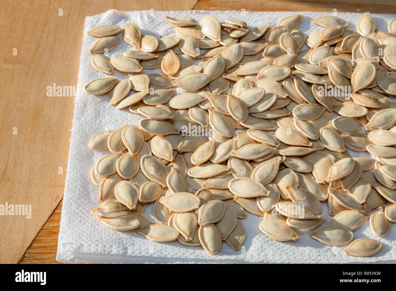 Halloween Kürbis Samen trocknen in der Küche. Stockfoto
