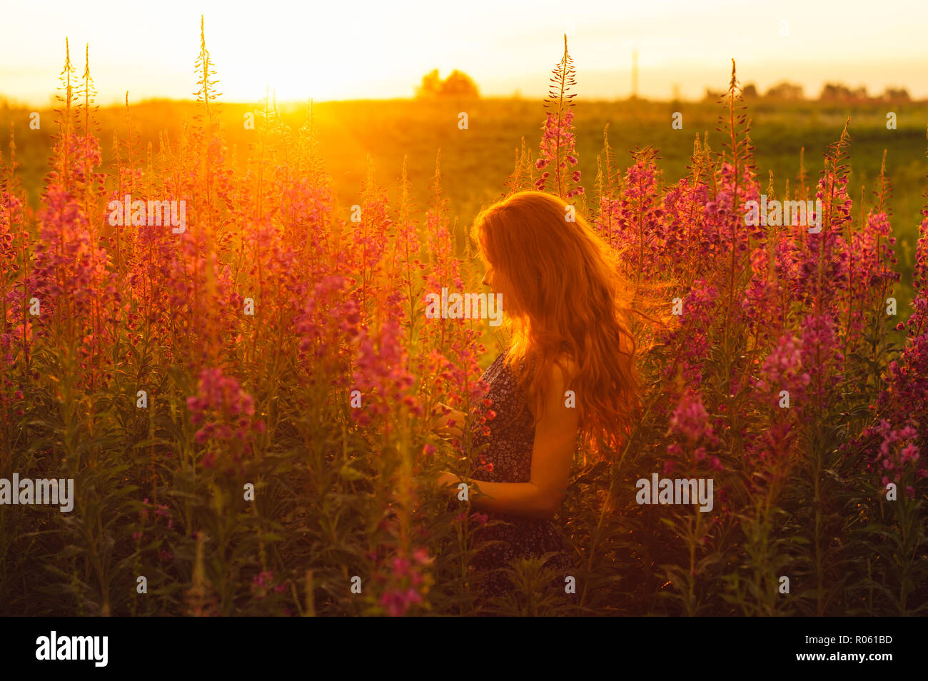 Schöne Mädchen im Profil auf Feld, sun Hintergrundbeleuchtung, Sunrise, Orange Farben Stockfoto