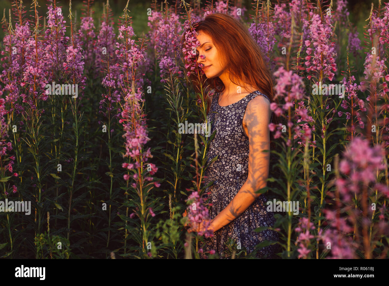 Schöne Mädchen im Feld, sun Hintergrundbeleuchtung, Sunrise, Orange Farben Stockfoto