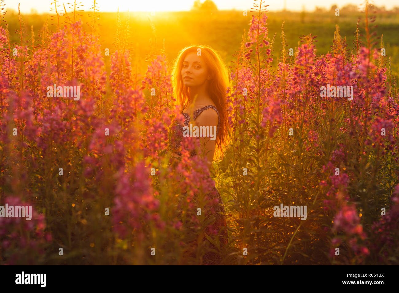 Schöne Mädchen auf dem Feld, sun Hintergrundbeleuchtung, Sunrise, Orange Farben, in die Kamera schaut Stockfoto