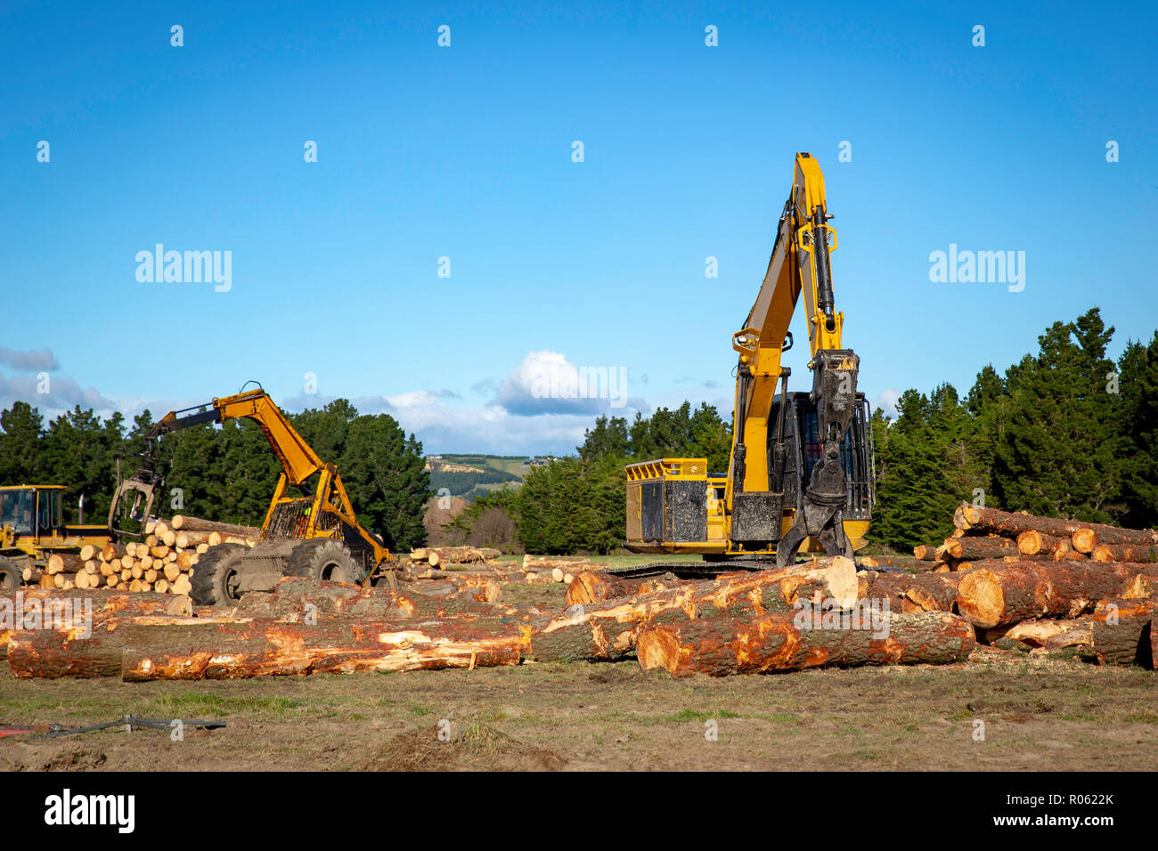 Schwere gelbe logging Maschinen arbeiten zu stapeln, Protokolle an ein Sägewerk zu transportieren Stockfoto