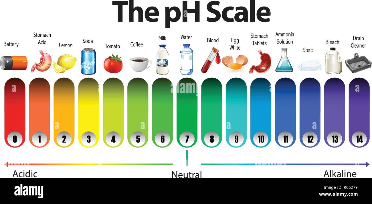 Eine pH-Skala auf weißem Hintergrund Abbildung Stock Vektor