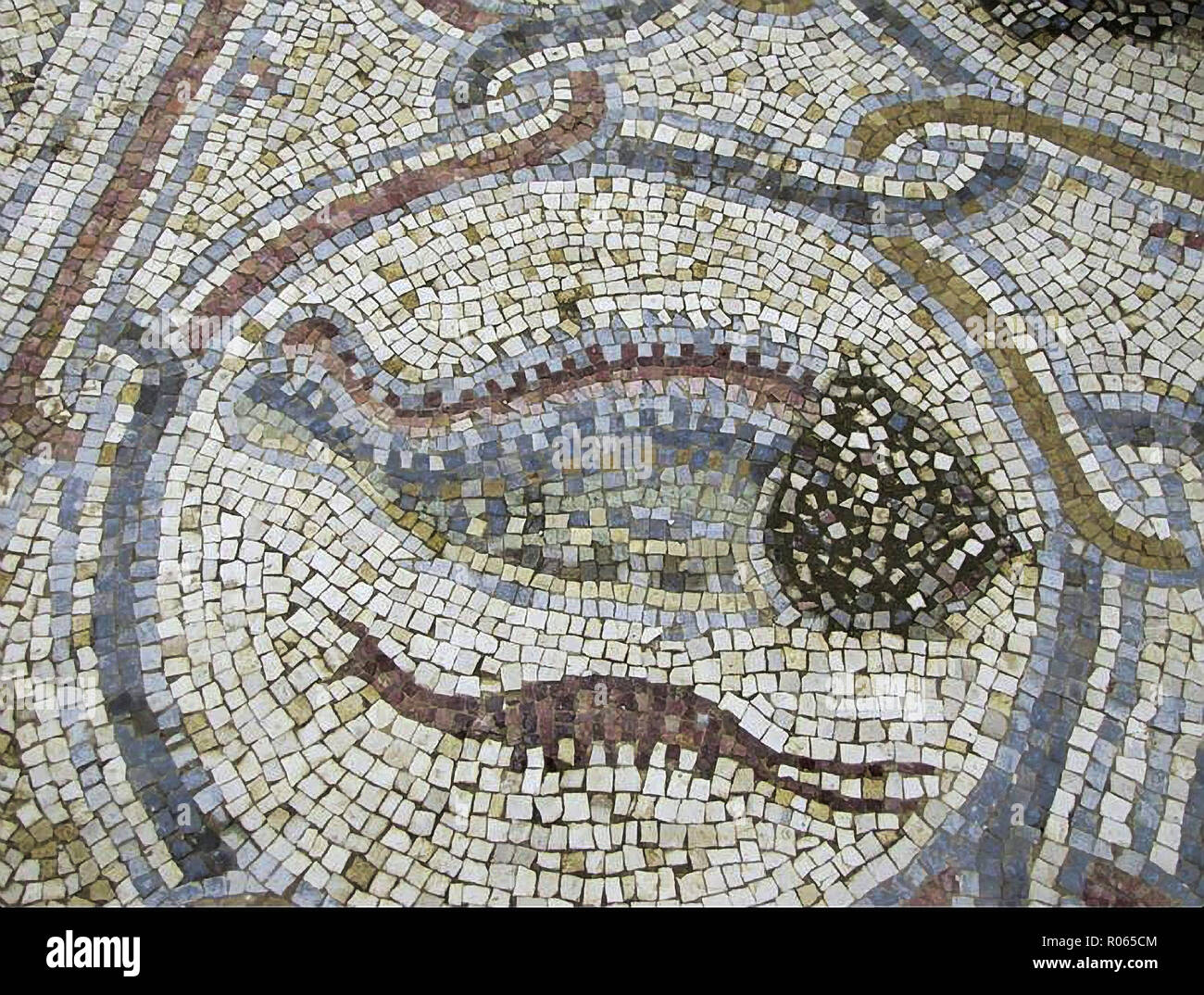 6357. Mosaikfußboden aus der byzantinischen Kirche in Khirbet Beit Lei oder Beth Loya, judäischen Bergland, Detail zeigt einen Fisch und Garnelen. Stockfoto