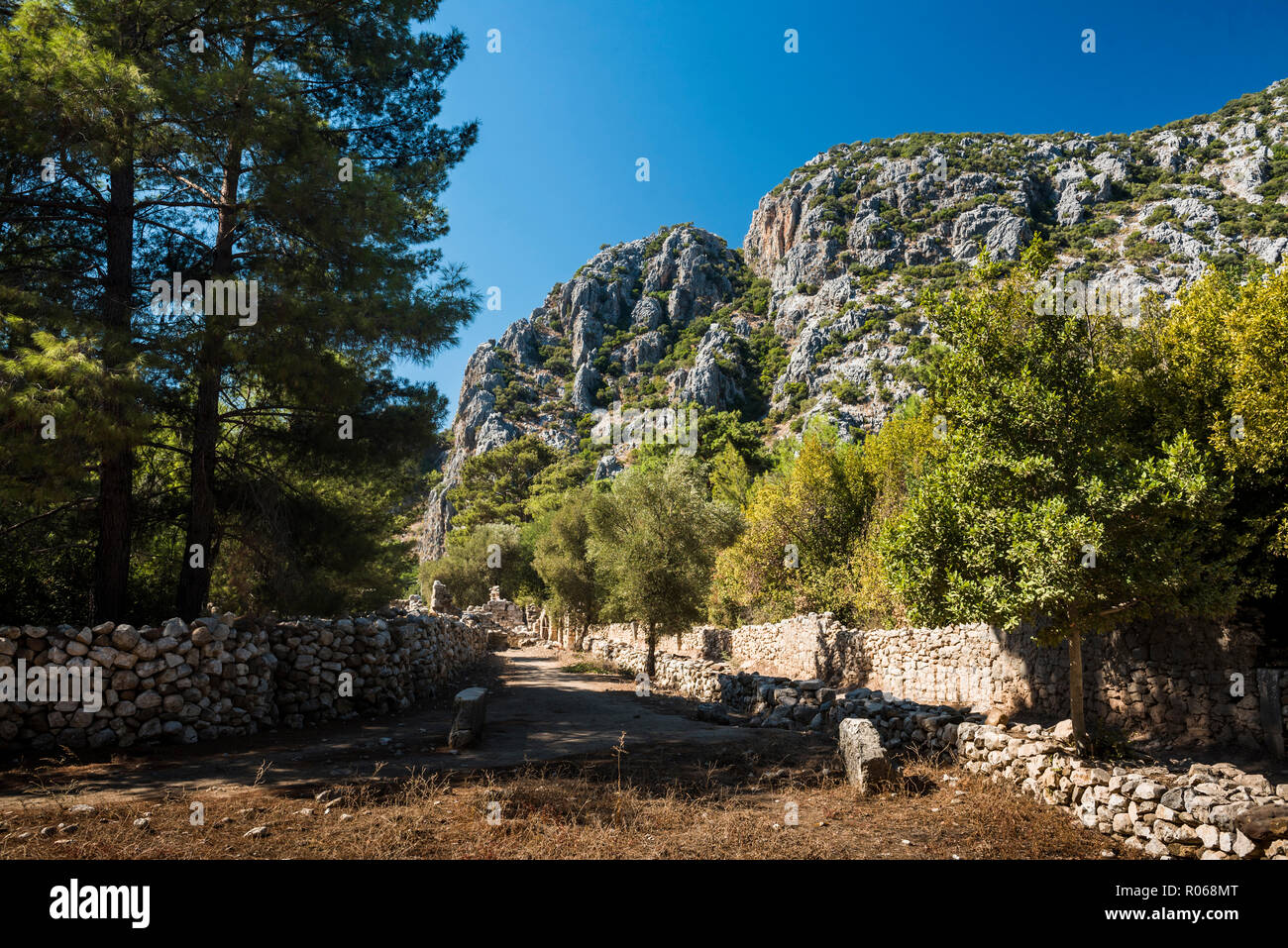 Ruinen von Olympos, Provinz Antalya, Lykien, Anatolien, Mittelmeer, Türkei, Kleinasien, Eurasien Stockfoto
