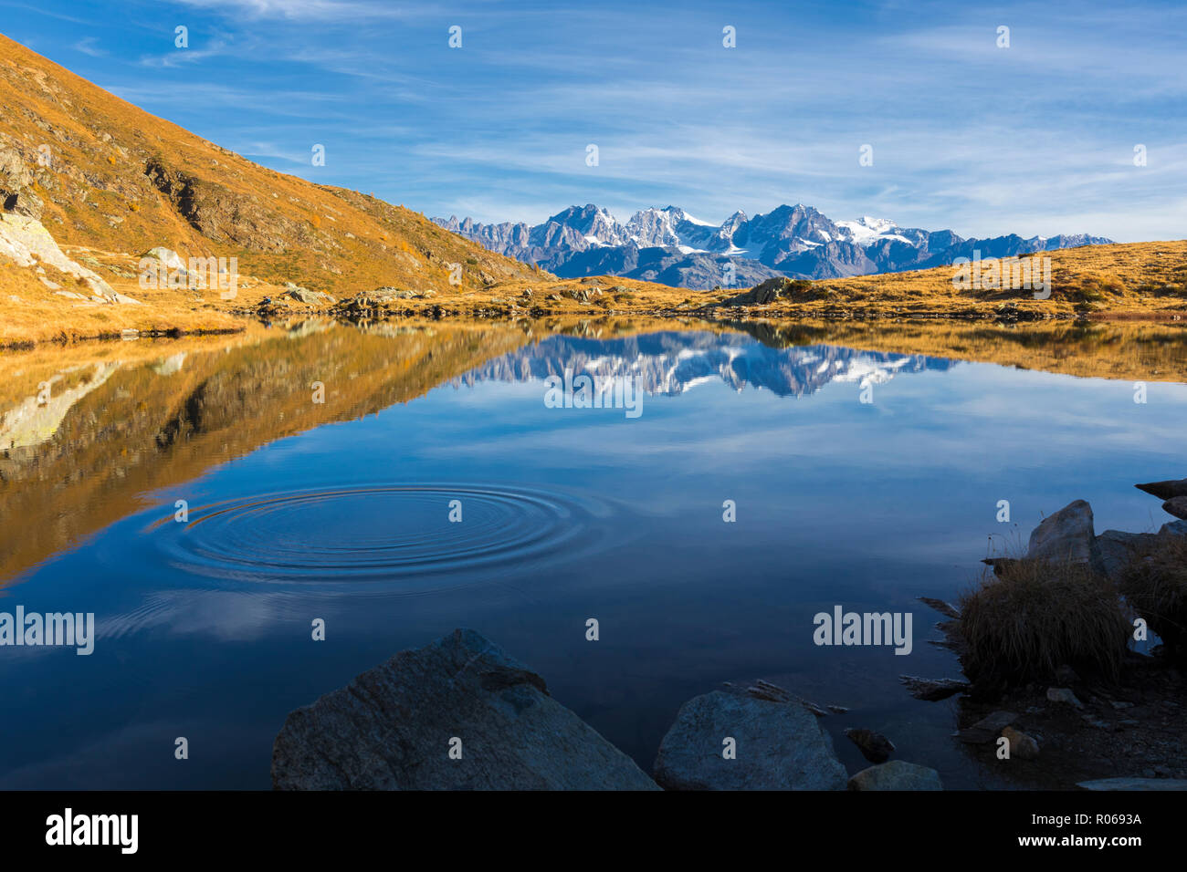 Gipfel der Berninagruppe, spiegelt sich in den blauen Lago Arcoglio im Herbst, Valmalenco, Valtellina, Lombardei, Italien, Europa Stockfoto