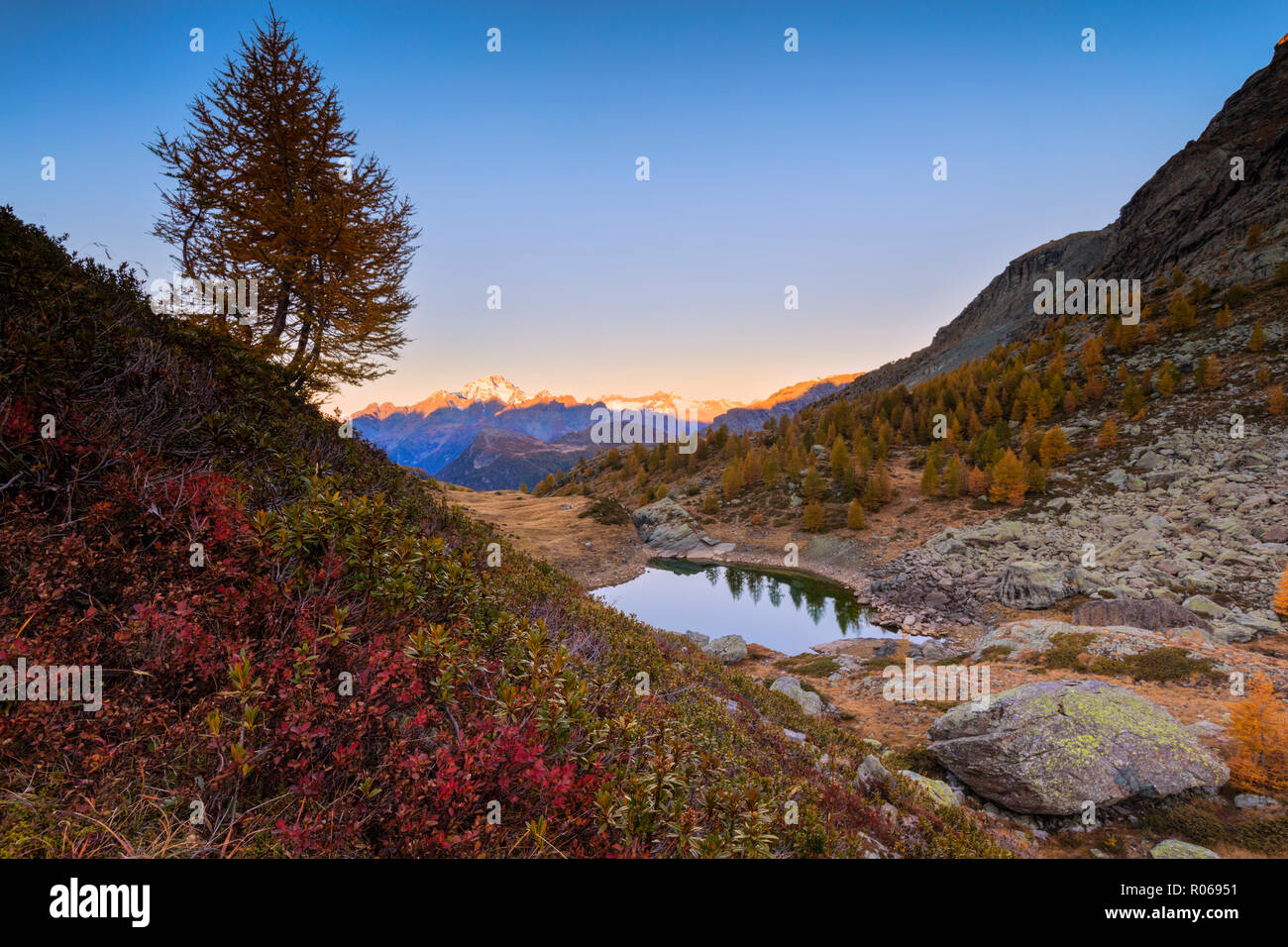Herbstlicher Sonnenaufgang am Monte Disgrazia und Seen von Campagneda, Valmalenco, Veltlin Sondrio Provinz, Lombardei, Italien, Europa Stockfoto