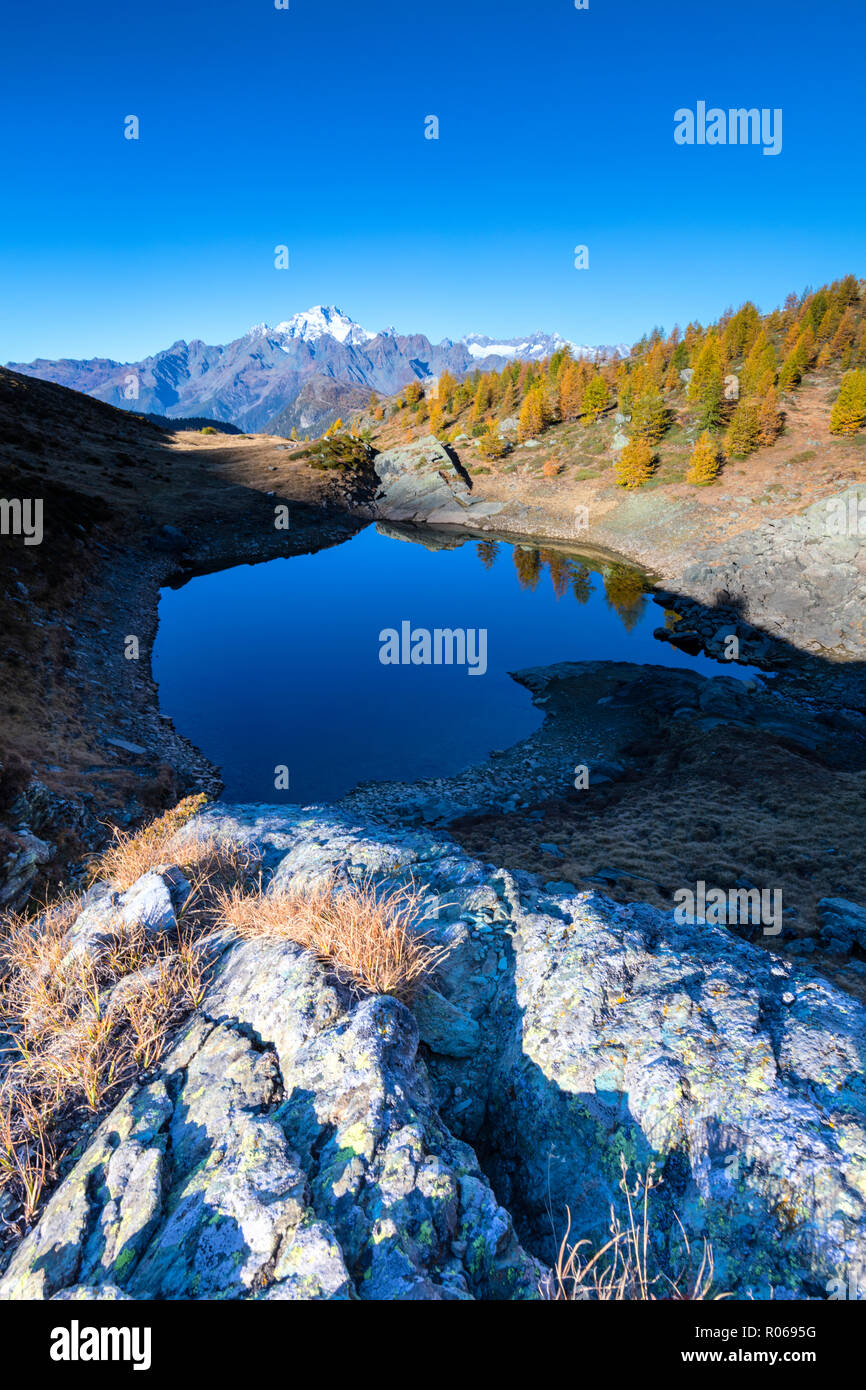 Seen von Campagneda durch bunte Wälder im Herbst, Valmalenco, Veltlin umgeben, in der Provinz Sondrio, Lombardei, Italien, Europa Stockfoto