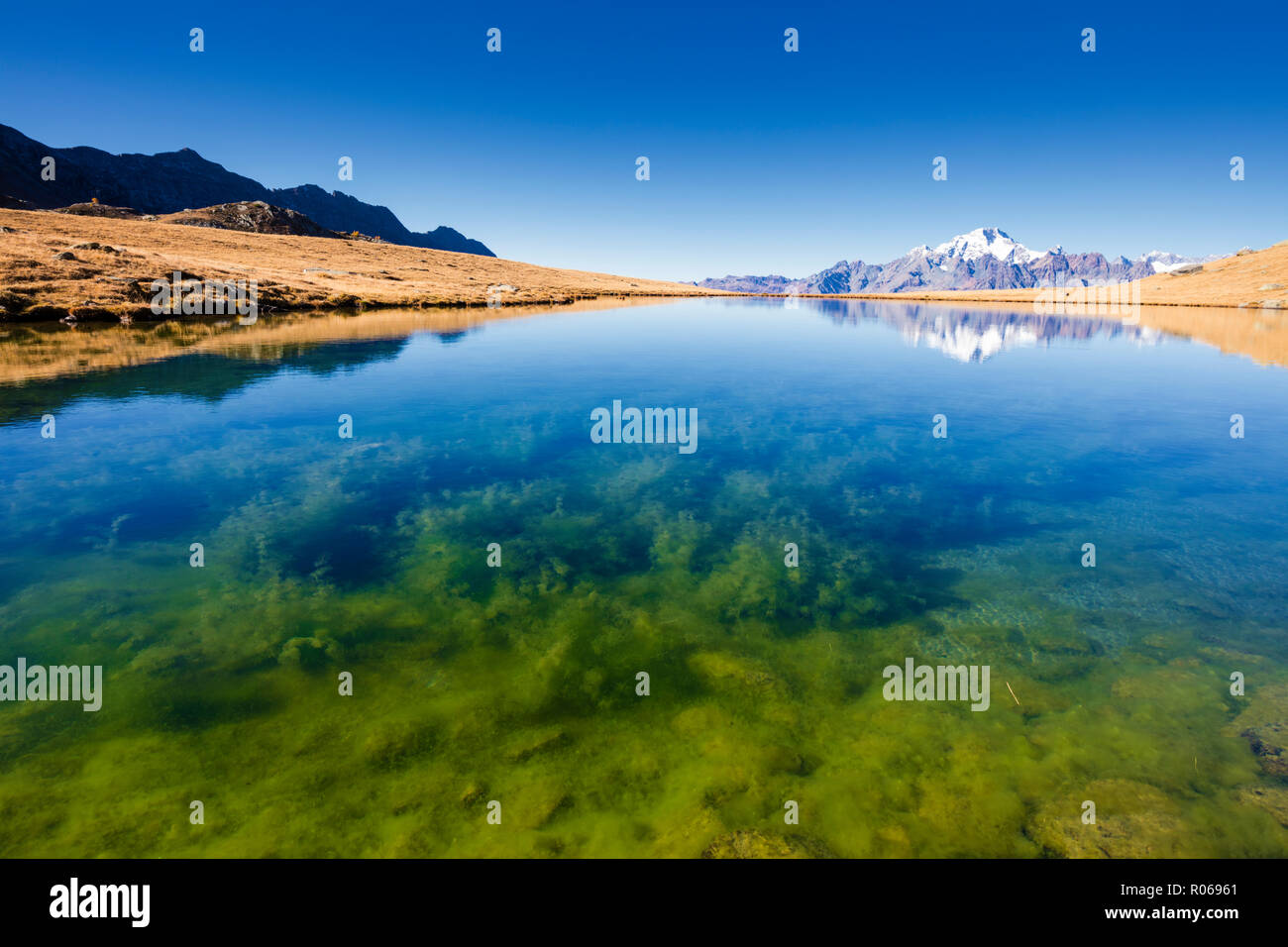 Klares Wasser der Seen von Campagneda mit Monte Disgrazia im Hintergrund, Valmalenco, Veltlin Sondrio Provinz, Lombardei, Italien, Europa Stockfoto