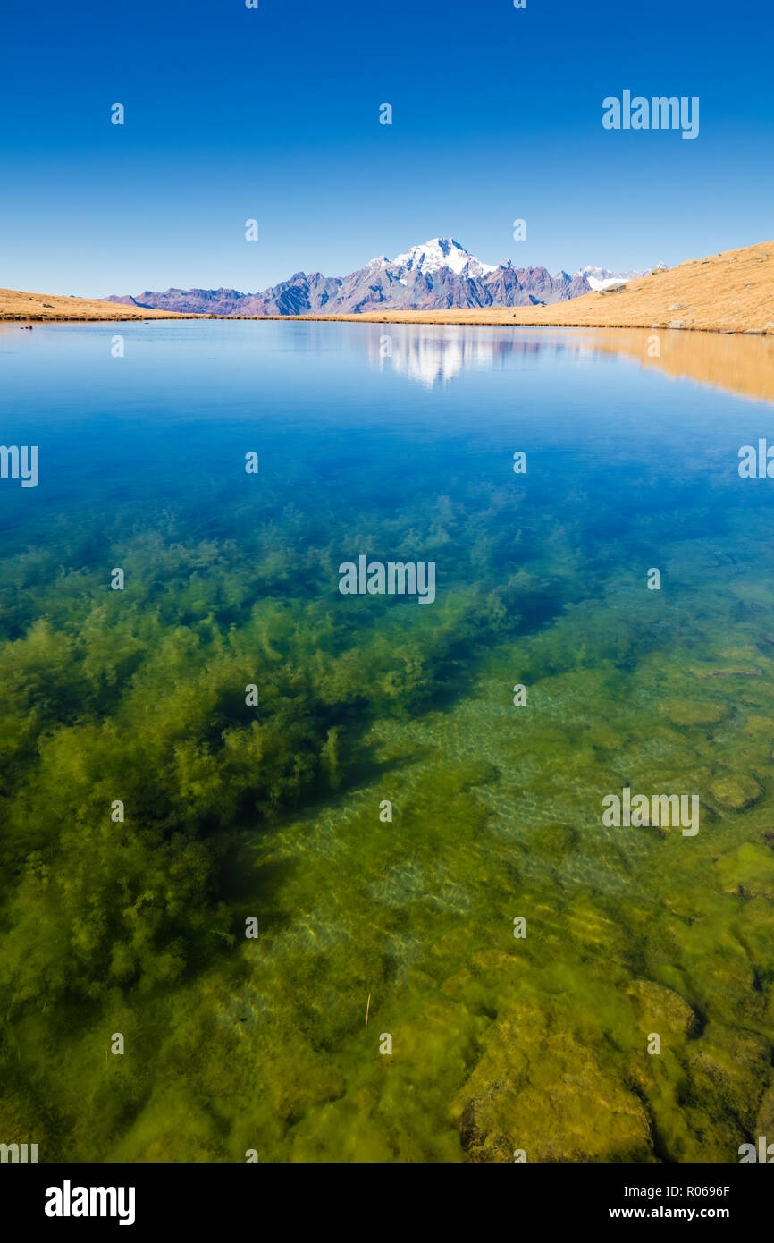Klares Wasser der Seen von Campagneda mit Monte Disgrazia im Hintergrund, Valmalenco, Veltlin Sondrio Provinz, Lombardei, Italien, Europa Stockfoto