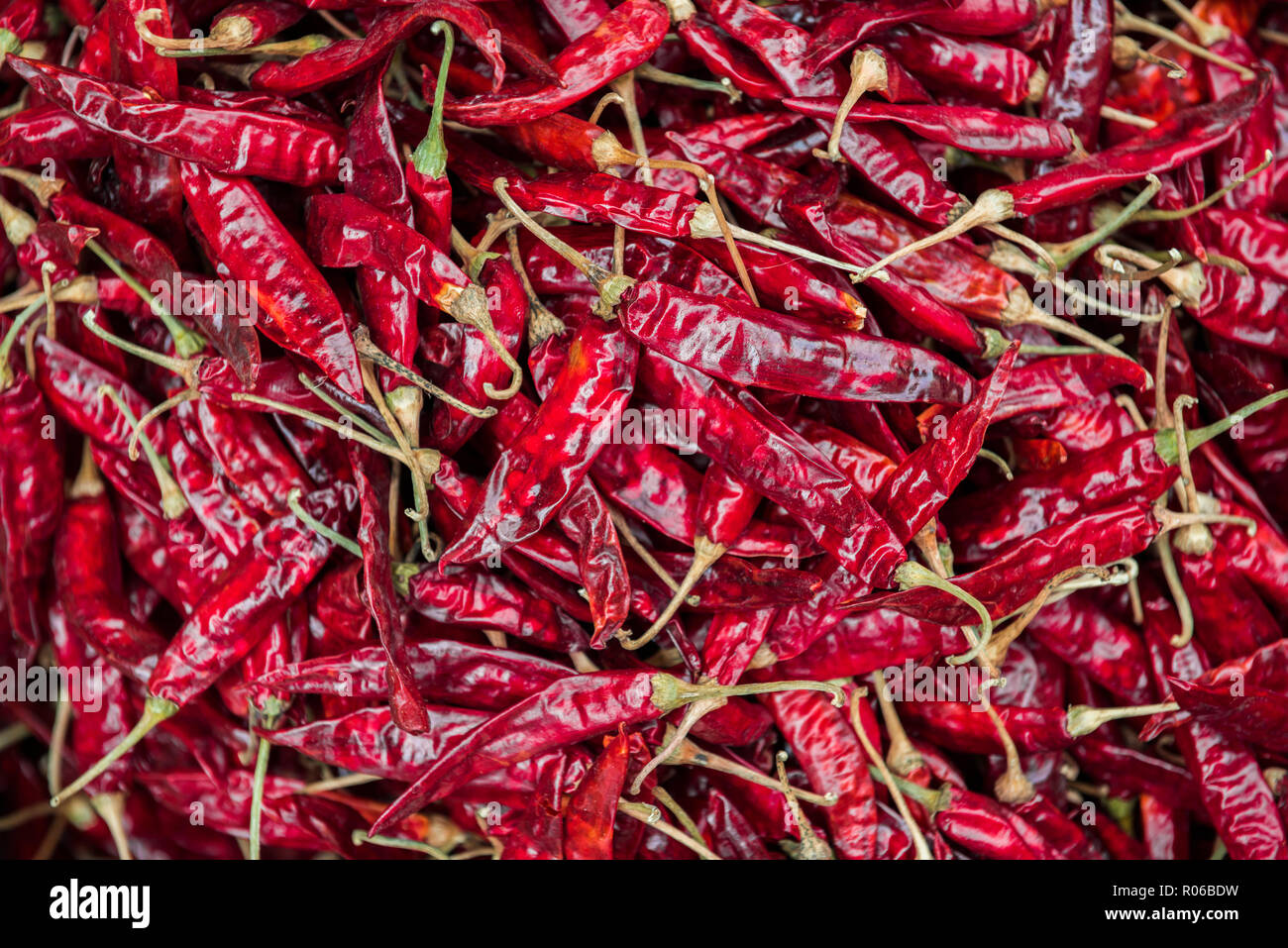 Chilis zum Verkauf an einer Spice Market in Fort Kochi (Cochin), Kerala, Indien, Asien Stockfoto