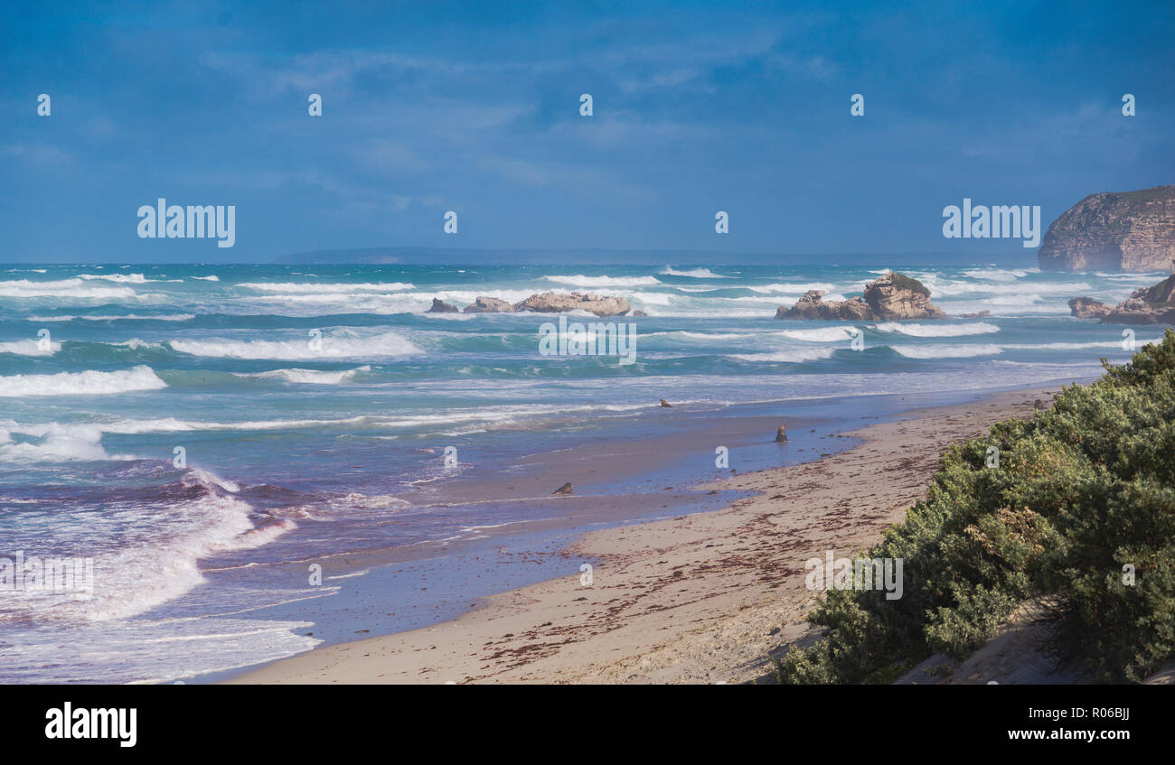 Küstenlandschaft an der Seal Bay Conservation Park an der Kangaroo Island, Australien, Pazifik Stockfoto