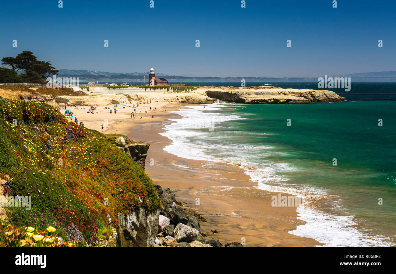 Leuchtturm Feld State Beach und Salt Rock, Santa Cruz, Kalifornien, Vereinigte Staaten von Amerika, Nordamerika Stockfoto