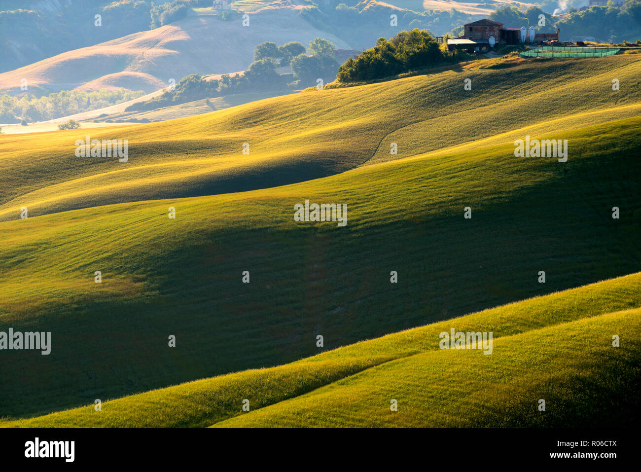 Hügel der Toskana, Volterra, Toskana, Italien, Europa Stockfoto