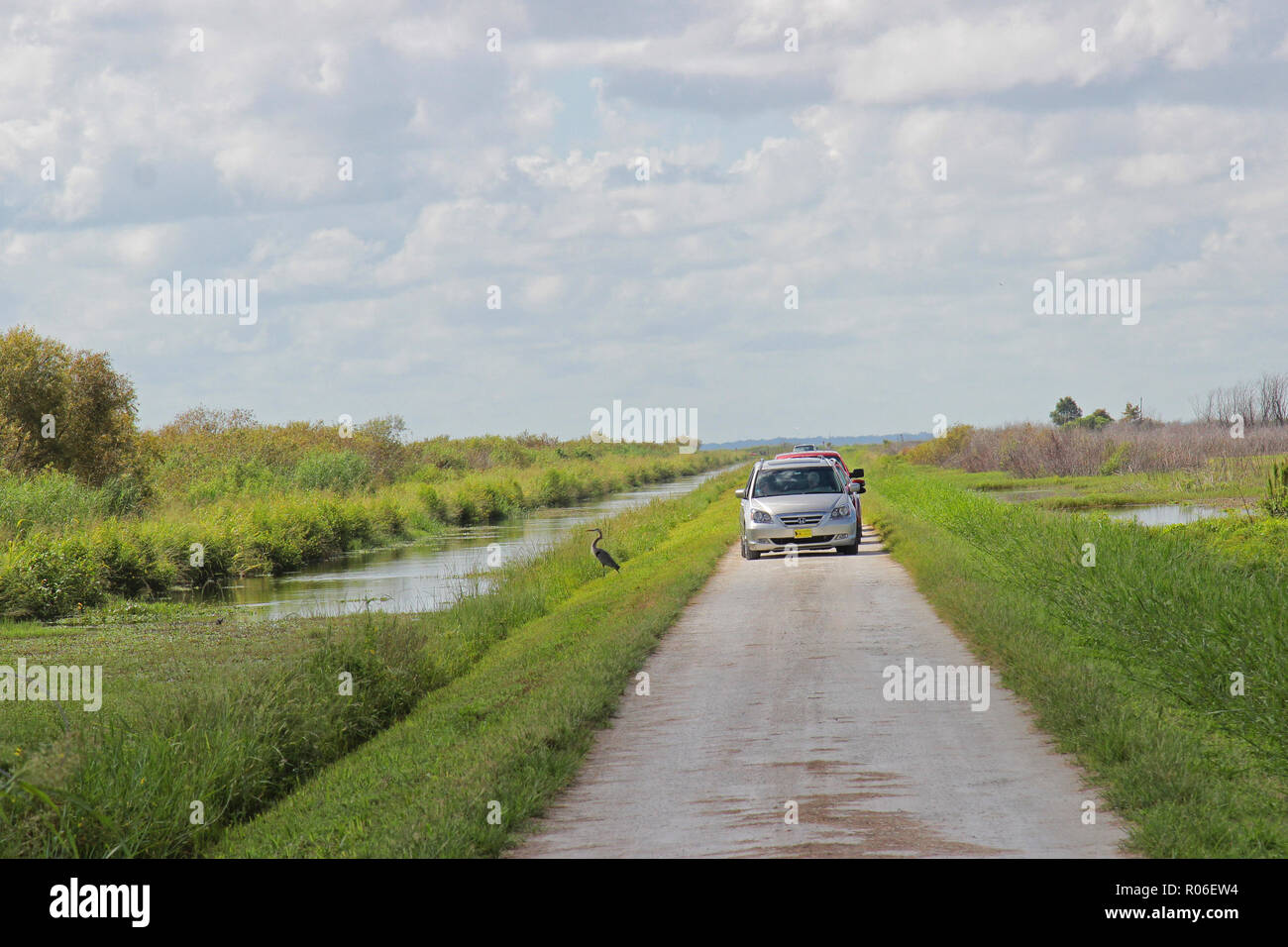 Lake Apopka Wildlife Drive Florida Stockfoto