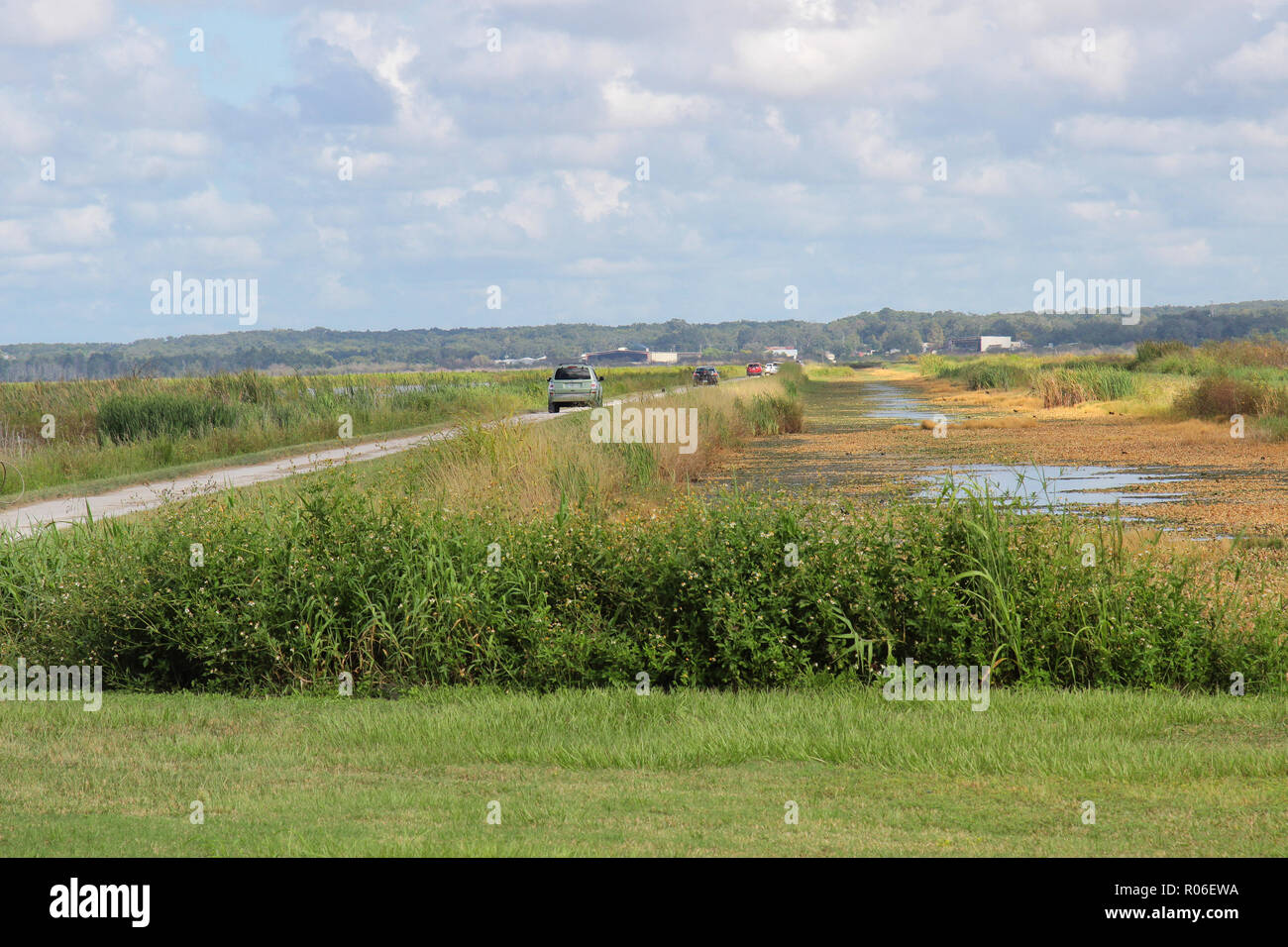 Lake Apopka Wildlife Drive Florida Stockfoto